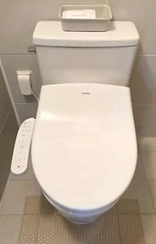 영 *